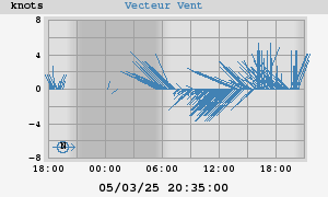 Wind Vector