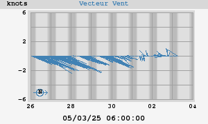 Wind Vector