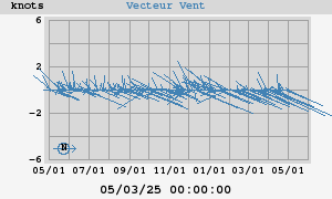 Wind Vector